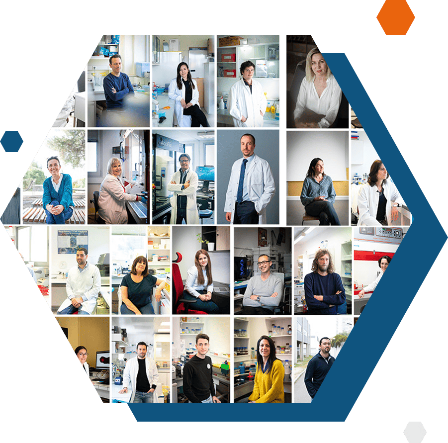 Formes slider 1 CRCM centre de recherche en cancérologie Marseille