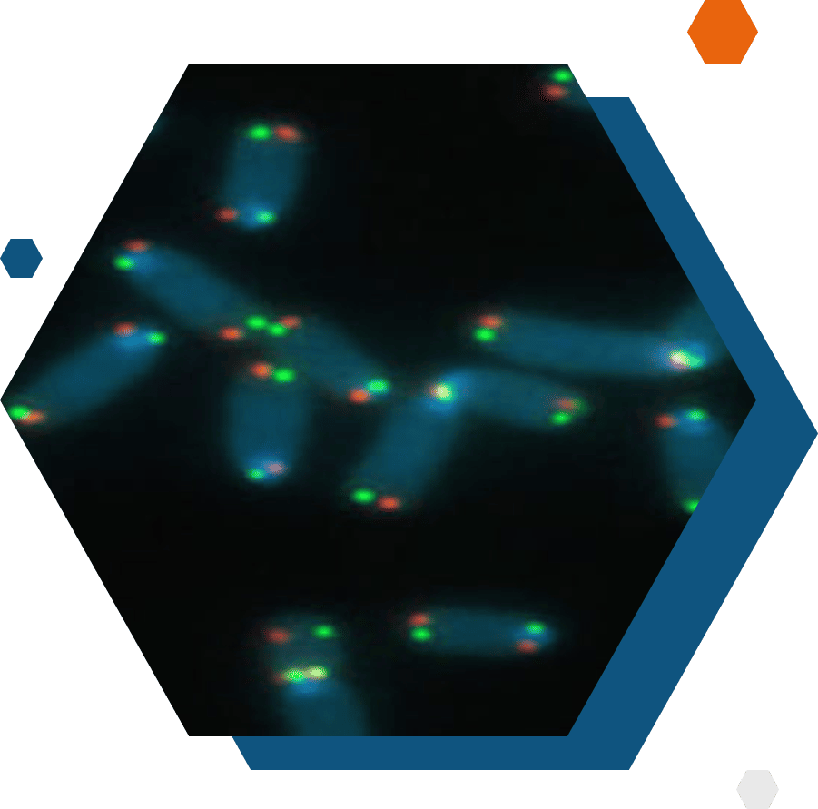 Formes slider 2 CRCM dernières actualités